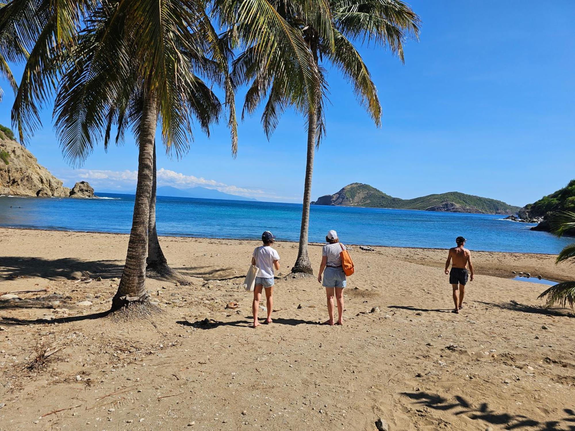 Villa Celyote - Haut De Villa, Vue Mer, A 150M De La Plage Anse Figuier Terre-De-Haut Eksteriør billede